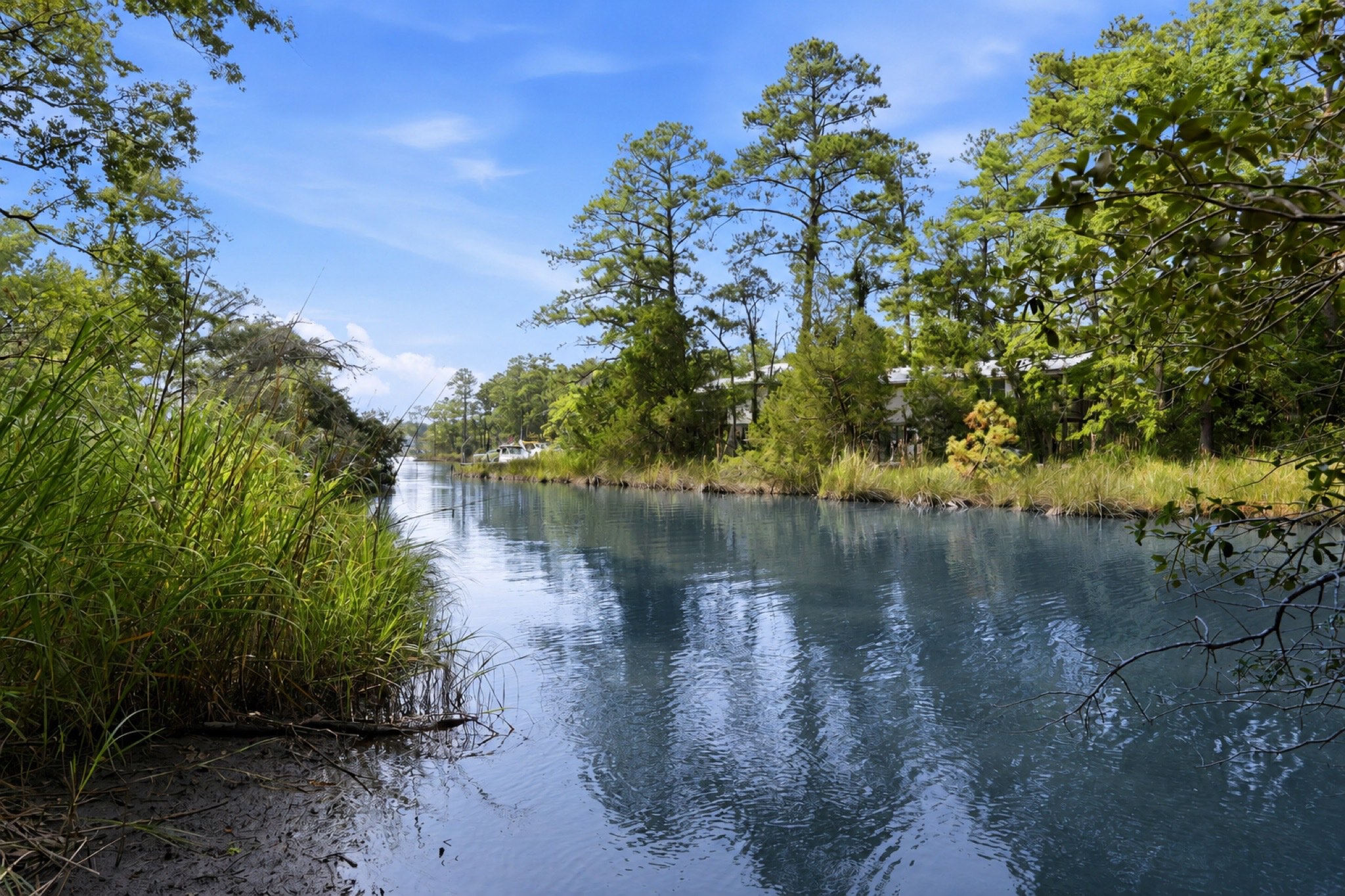 The creek at the end of the yard